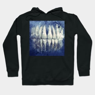 Dentist, dentist gift and dentist funny Hoodie